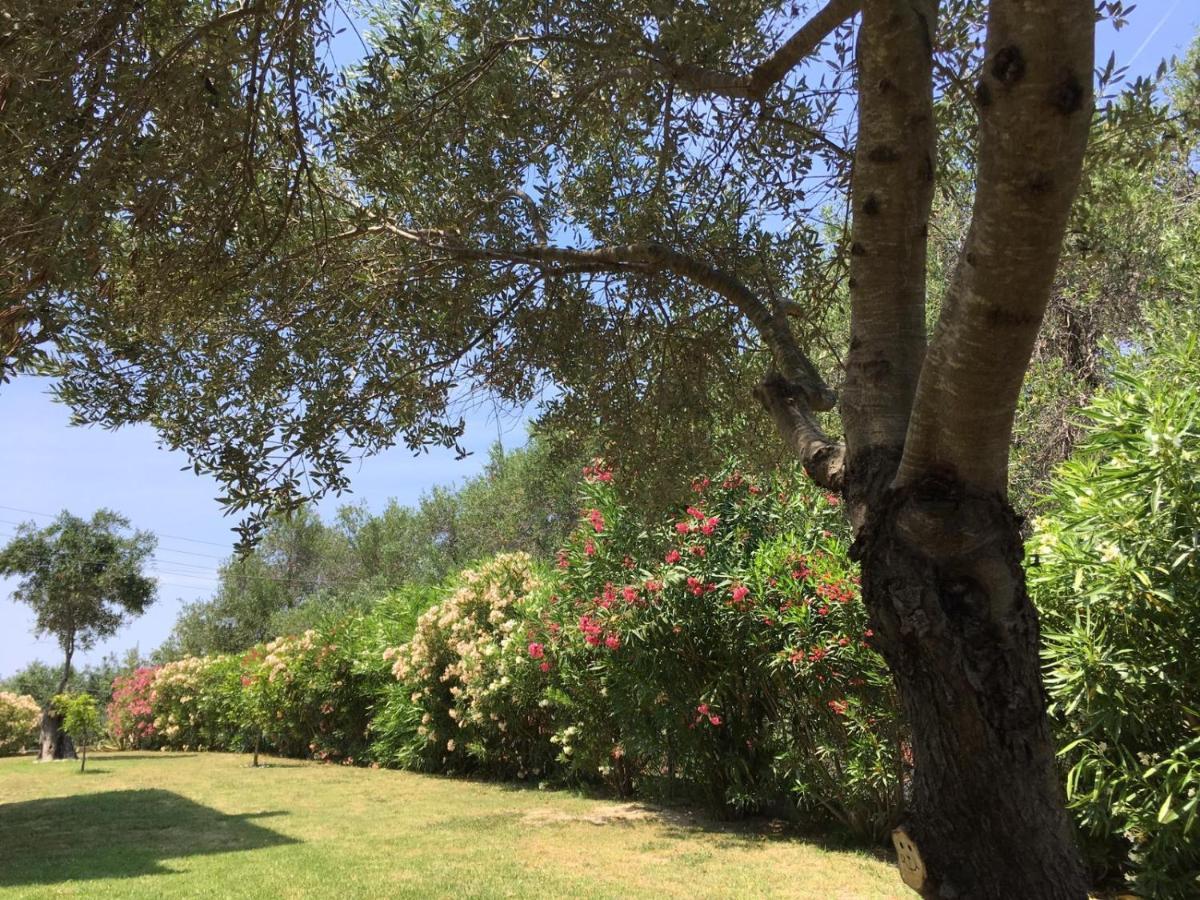Villa Gecko, Arillas Kavvadades Exteriör bild