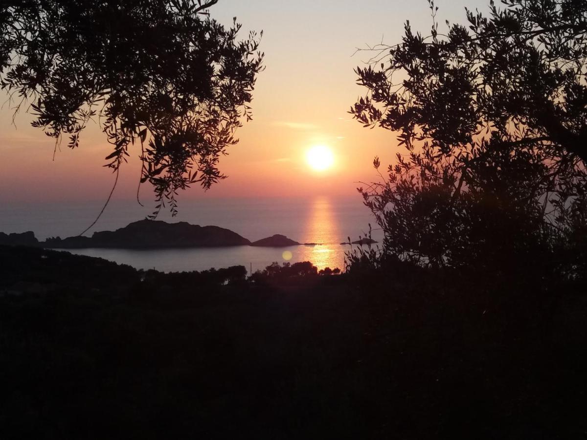 Villa Gecko, Arillas Kavvadades Exteriör bild