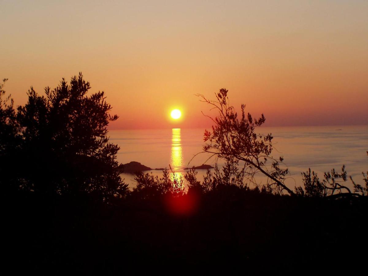 Villa Gecko, Arillas Kavvadades Exteriör bild